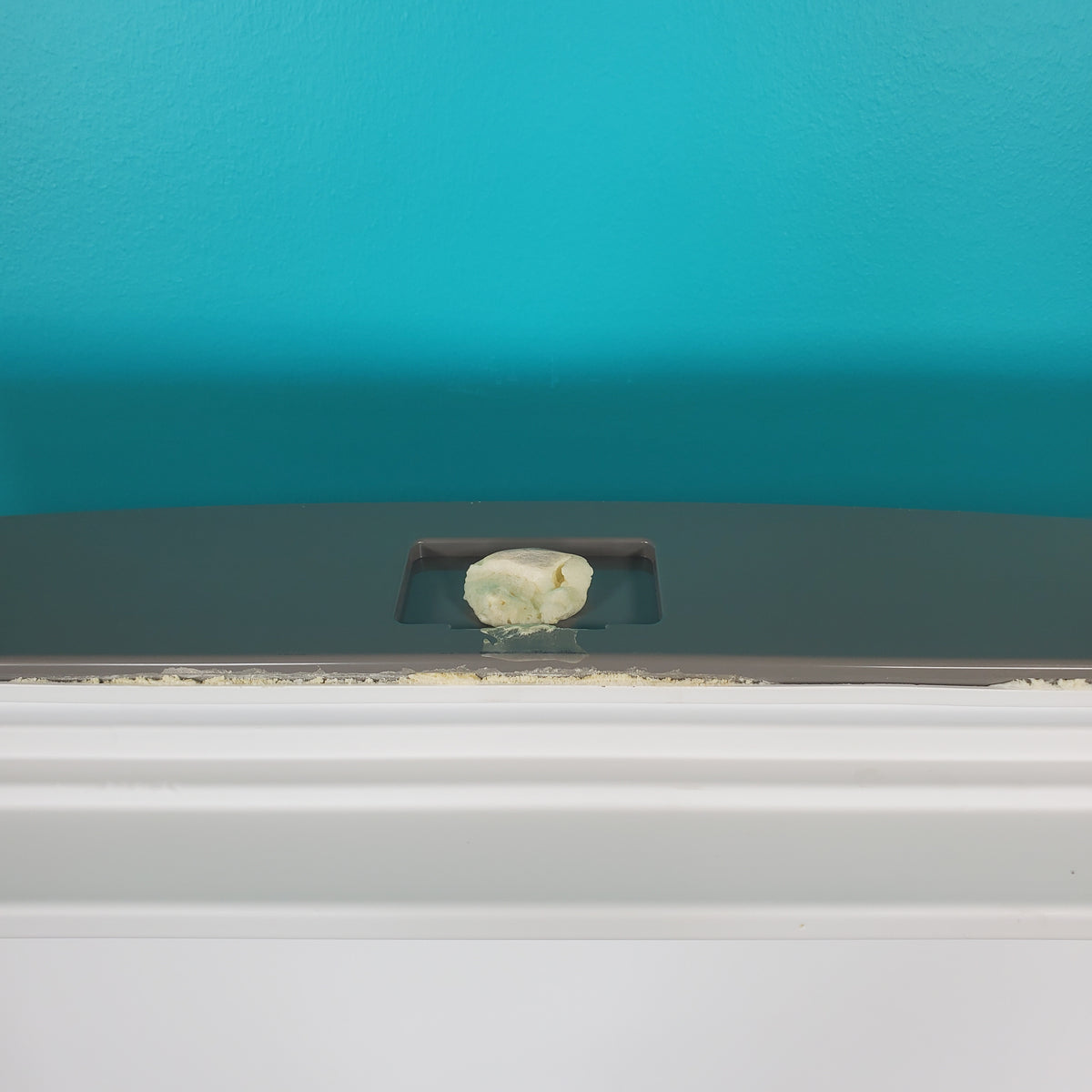 Whirlpool Refrigerator & Freezer Doors W10747003
