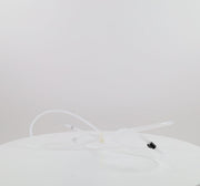Whirlpool Refrigerator & Freezer Misc. Parts 2003812